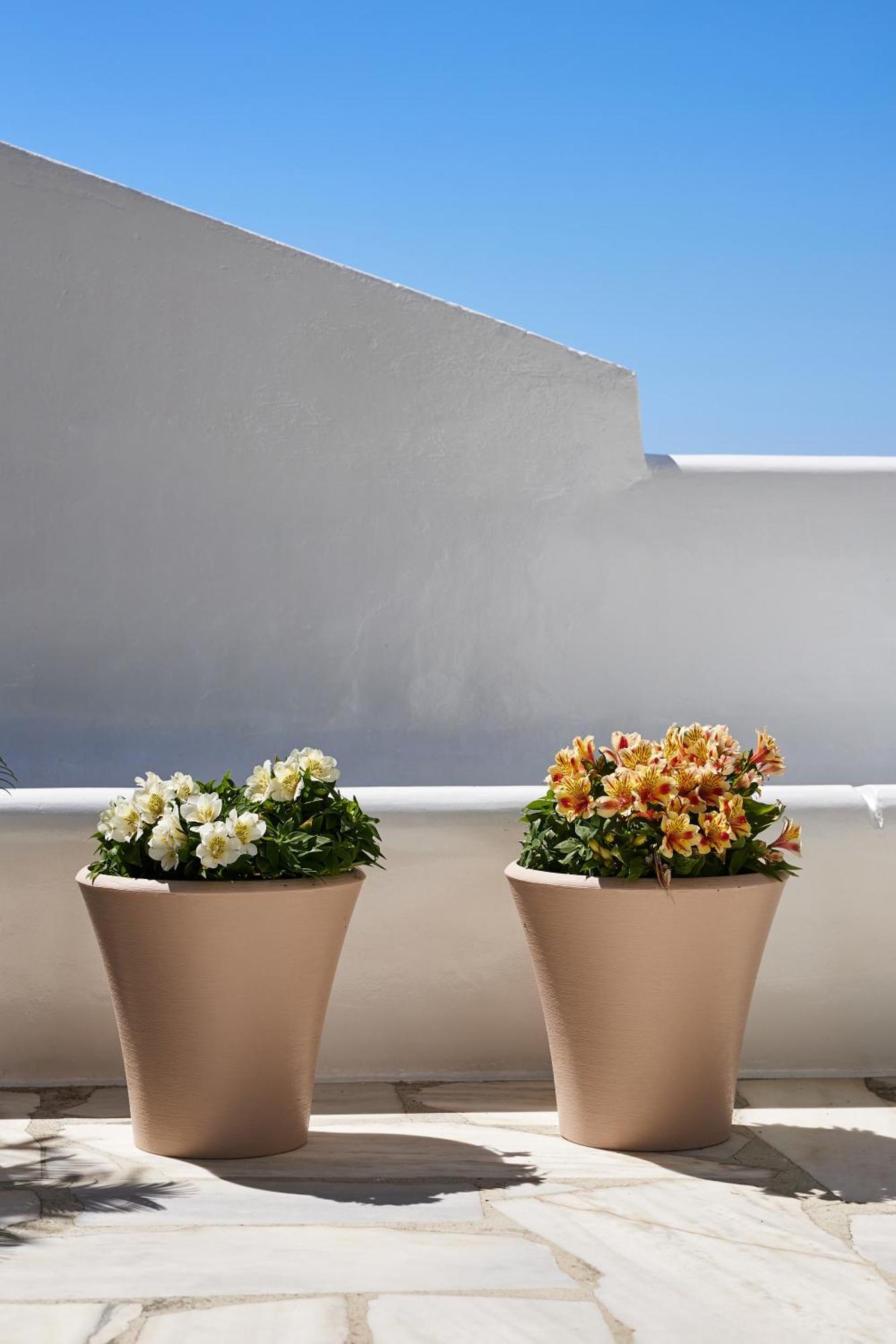 Sand Lily Villa Mykonos Mykonos Town Eksteriør billede